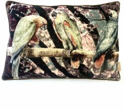  Perna Livia 40x60 cm (67429)