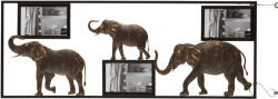  Rama foto Elephant 74, 5/2/28, 5 cm (3577)