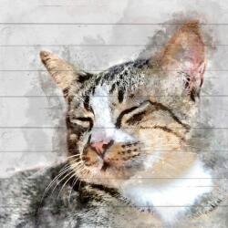  Tablou Katze 40/40 cm (43127922)