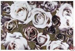  Tablou sticla Roses 70/100/0, 5 cm (88130245)