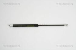 TRISCAN Amortizor portbagaj TRISCAN 8710 16248 (8710 16248) - automobilus