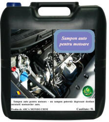  Sampon auto pentru motoare Arca Lux, Bidon 20L ('129)