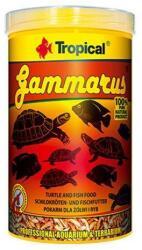 Tropical Trópusi Gammarus 100 ml