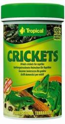 Tropical Tropical Crickets 100ml