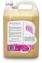 Botaniqa BOTANIQA Volume Up sampon 4l