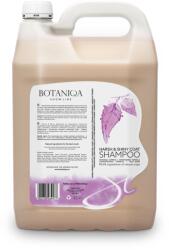  Botaniqa BOTANIQA Harsh & Shiny Coat sampon drótszőrű kutyáknak 4 l