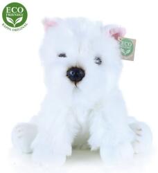 Rappa ülő westie 30 cm