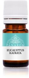 Panarom Eucaliptus radiata illóolaj 5ml