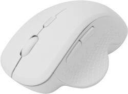 SBOX WM-549W (T-MLX48750) Mouse