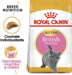 Royal Canin Kitten British Shorthair 20 kg (2 x 10 kg) hrană uscată pentru pisoi British Shorthair de până la 12 luni
