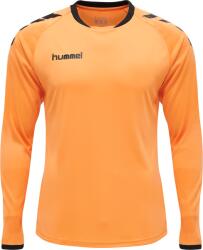 Hummel CORE KIDS GK SET Hosszú ujjú póló 205281-5006 Méret 8 (128)