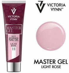 Victoria Vynn Master Gel Victoria Vynn 11 Light Rose