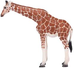 Mojo Figura Mojo Wildlife - Girafă, femelă (381033)