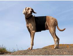  Ortocanis - Protector de coloană vertebrală - pentru câini L