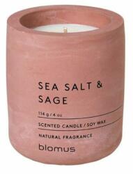 blomus Fraga sea salt & sage 6,5 cm