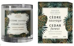 Panier des Sens Lumânare parfumată în pahar Cedar Forest - Panier Des Sens Scented Candle Cedar Forest 275 g