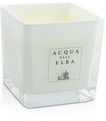 Acqua dell'Elba Lumânare aromată - Acqua Dell'Elba Fiori Scented Candle 180 g