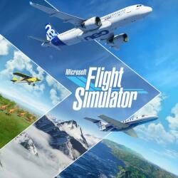 Microsoft Flight Simulator 40th Anniversary (PC)