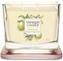 Yankee Candle Lumânare aromatică - Yankee Candle Elevation Citrus Grove 96 g