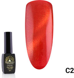 Global Fashion Oja semipermanenta Cat Eyes 8 ml, 02