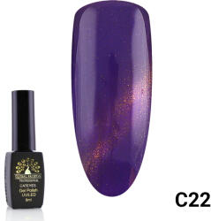 Global Fashion Oja semipermanenta Cat Eyes 8 ml, 22