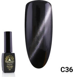 Global Fashion Oja semipermanenta Cat Eyes 8 ml, 36