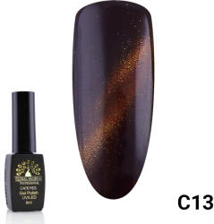 Global Fashion Oja semipermanenta Cat Eyes 8 ml, 13