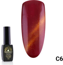 Global Fashion Oja semipermanenta Cat Eyes 8 ml, 06