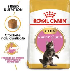 Royal Canin Maine Coon Kitten hrană uscată pentru pisoi Maine Coon până la vârsta de 15 luni 20 kg (2 x 10 kg)