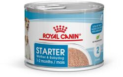 Royal Canin Starter Mouse gestatie/ lactatie pui hrana umeda catei si mame de talie mica 195 g