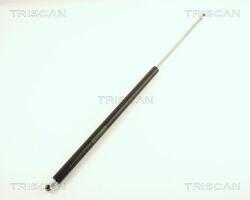 TRISCAN Amortizor portbagaj TRISCAN 8710 38211 (8710 38211) - automobilus