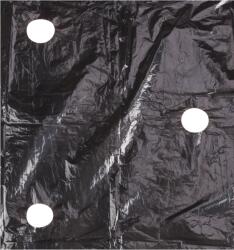 EVOTOOLS Folie Mulcire Neagra Perforata 1.4 m x 20 m (30 microni) Pentru Capsuni (680940)