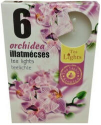  Illatos teamécses orchidea 6 db