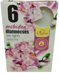  Orchid 6 pcs