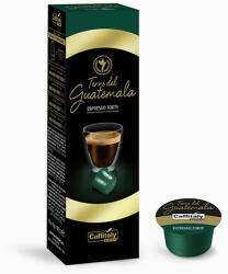Caffitaly Capsule Cafea Caffitaly E'caffe Terre del Guatemala 10 buc