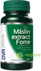 DVR Pharm Maslin Extract Forte 30cps