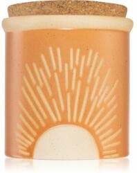 Paddywax Dune Cactus Flower & Aloe 226 g