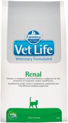 Vet Life Renal 400 g