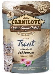 CARNILOVE Wild-Origin Fillets Adult trout 85 g