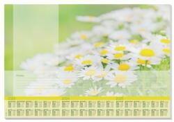 SIGEL Könyökalátét, 595x410 mm, 3 éves tervezővel, SIGEL "Lovely Daisies (siho307) - irodaszer