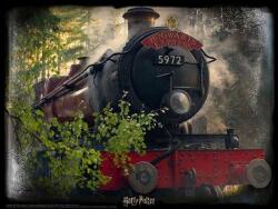 Prime 3D - Puzzle Harry Potter: Hogwarts Express 3D II - 500 piese