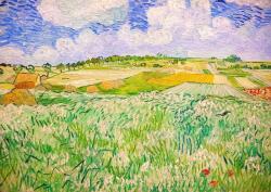 Enjoy - Puzzle Vincent van Gogh: Câmpie lângă Auvers - 1 000 piese Puzzle