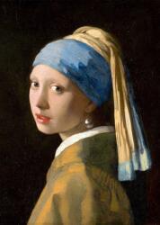 Enjoy - Puzzle Johannes Vermeer: Fata cu un cercel de perle - 1 000 piese Puzzle