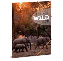 Ars Una The Eyes of the Wild gumis mappa - A4 - elefántos (50212170) - mindenkiaruhaza