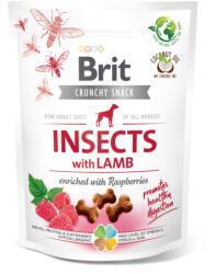 Brit Care Dog Crunchy Cracker Insects with Lamb and Raspberries 200g - falatozoo