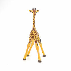 Papo Figurina Pui Girafa (Papo50100) - carlatoys
