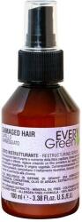 Everygreen Ser pentru restructurarea părului - EveryGreen Restructuring serum 100 ml