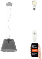 Immax Lustră LED pe cablu dimabilă CONO 1xE27/8, 5W/230V 32 cm Immax NEO 07054L (IM0230)