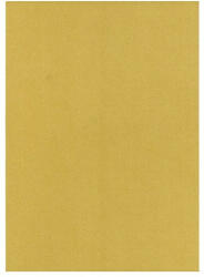  Dekorációs karton 2 oldalas 50x70 cm 200 gr arany 25 ív/csomag - papir-bolt