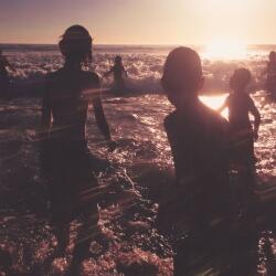 WARNER Linkin Park - One More Light (1lp) (9362491324)